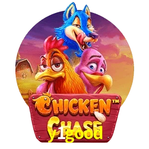 y1good — Chicken Chase crash game | Play on Android APK & iPhone for real money | Hacksaw Gaming